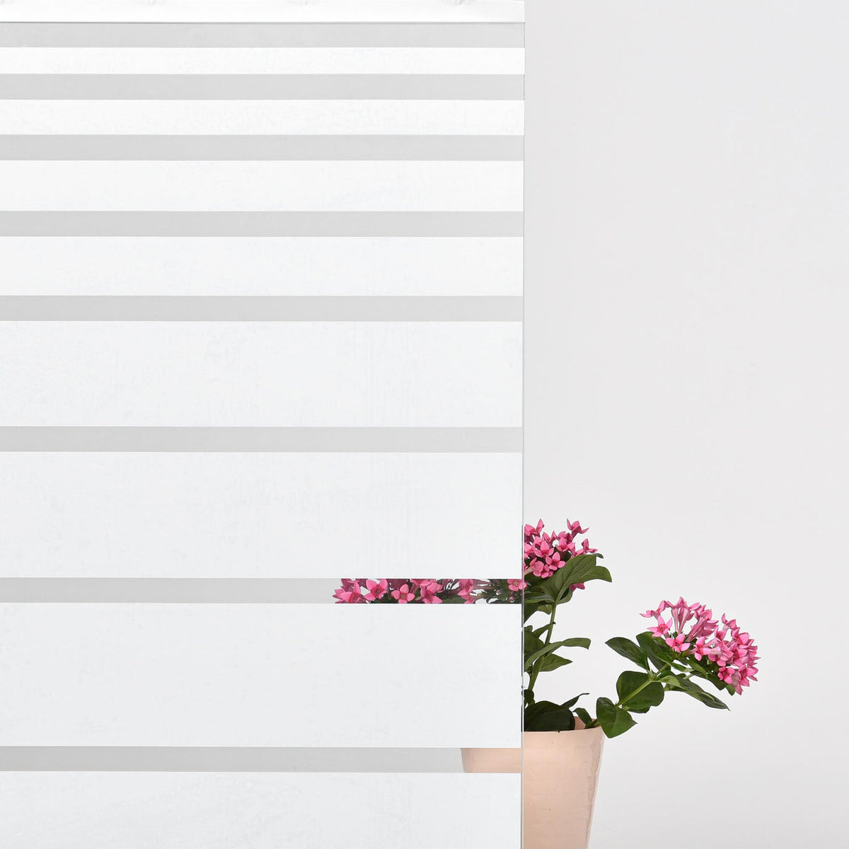 Folije za okna - Dekoracija S6736-Life-decor.si