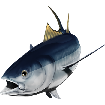 Albacore riba nalepke, samolepilne, 6 različne oblike - AUR047-Life-decor.si