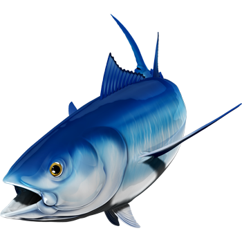 Bluefin Tuna riba nalepke, samolepilne, 6 različne oblike - AUR051-Life-decor.si