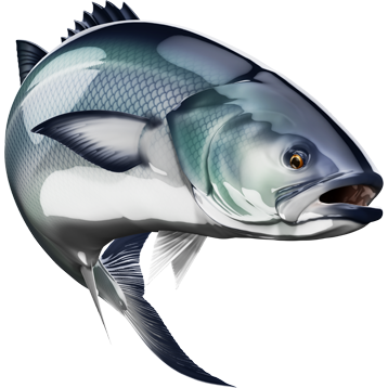 Bluefish riba nalepke, samolepilne, 6 različne oblike - AUR052-Life-decor.si