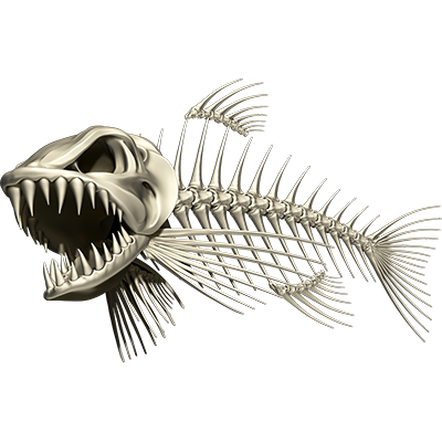 Bonefish 3 riba nalepke, samolepilne, 6 različne oblike - AUR056-Life-decor.si