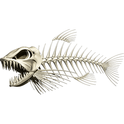 Bonefish 3 riba nalepke, samolepilne, 6 različne oblike - AUR056-Life-decor.si