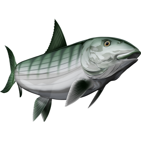 Bonefish riba nalepke, samolepilne, 6 različne oblike - AUR054-Life-decor.si