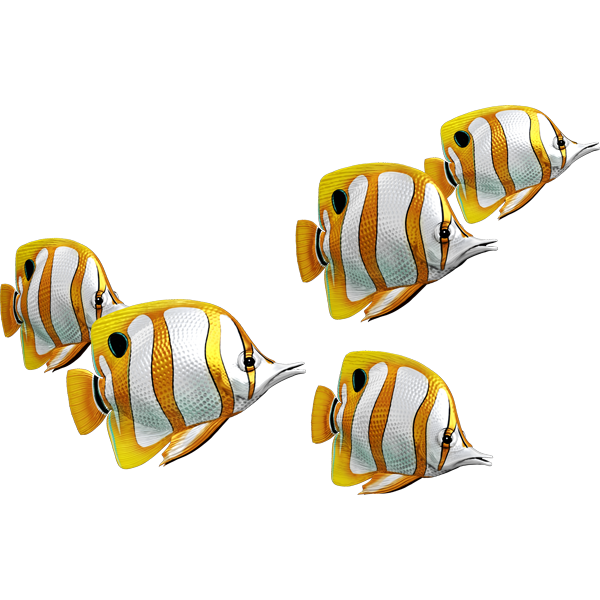 Butterfly Fish riba nalepke, samolepilne, 6 različne oblike - AUR057-Life-decor.si