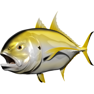 Crevalle Jack riba nalepke, samolepilne, 6 različne oblike - AUR061-Life-decor.si