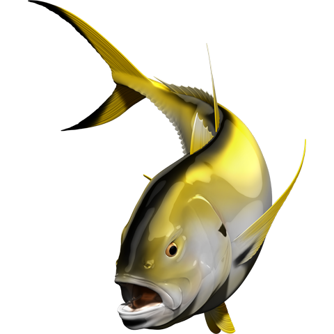 Crevalle Jack riba nalepke, samolepilne, 6 različne oblike - AUR061-Life-decor.si