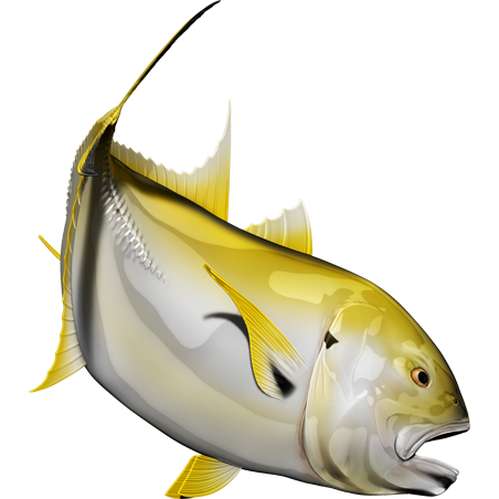 Crevalle Jack riba nalepke, samolepilne, 6 različne oblike - AUR061-Life-decor.si