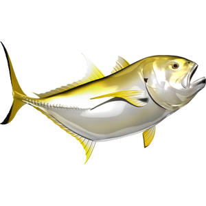 Crevalle Jack riba nalepke, samolepilne, 6 različne oblike - AUR061-Life-decor.si