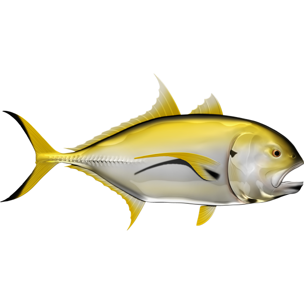 Crevalle Jack riba nalepke, samolepilne, 6 različne oblike - AUR061-Life-decor.si