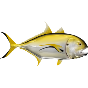 Crevalle Jack riba nalepke, samolepilne, 6 različne oblike - AUR061-Life-decor.si