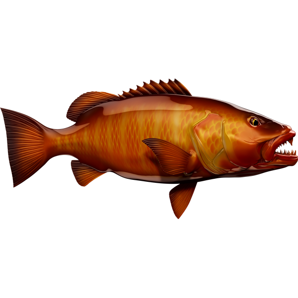 Cubera Snapper riba nalepke, samolepilne, 6 različne oblike - AUR062-Life-decor.si