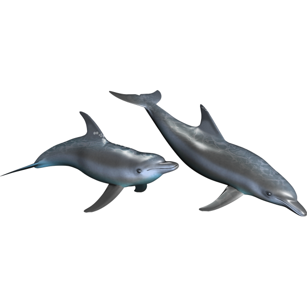 Dolphins riba nalepke, samolepilne, 6 različne oblike - AUR063-Life-decor.si