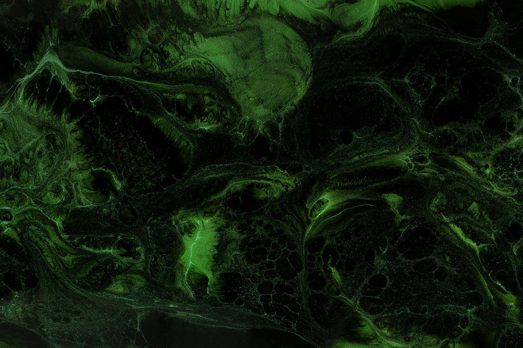 Epoxy pod Metallic Bahia Green & Jet Black - EP023