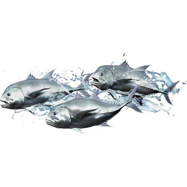Giant Travelly Splash nalepke, samolepilne - AUR070-Life-decor.si