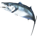 King Mackerel nalepke, samolepilne - AUR073-Life-decor.si
