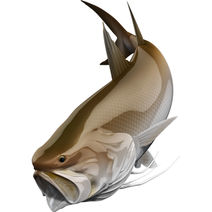 King Threadfin nalepke, samolepilne - AUR074-Life-decor.si