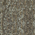 Samolepilna folija za pohištvo - Kora drveta  PAT056