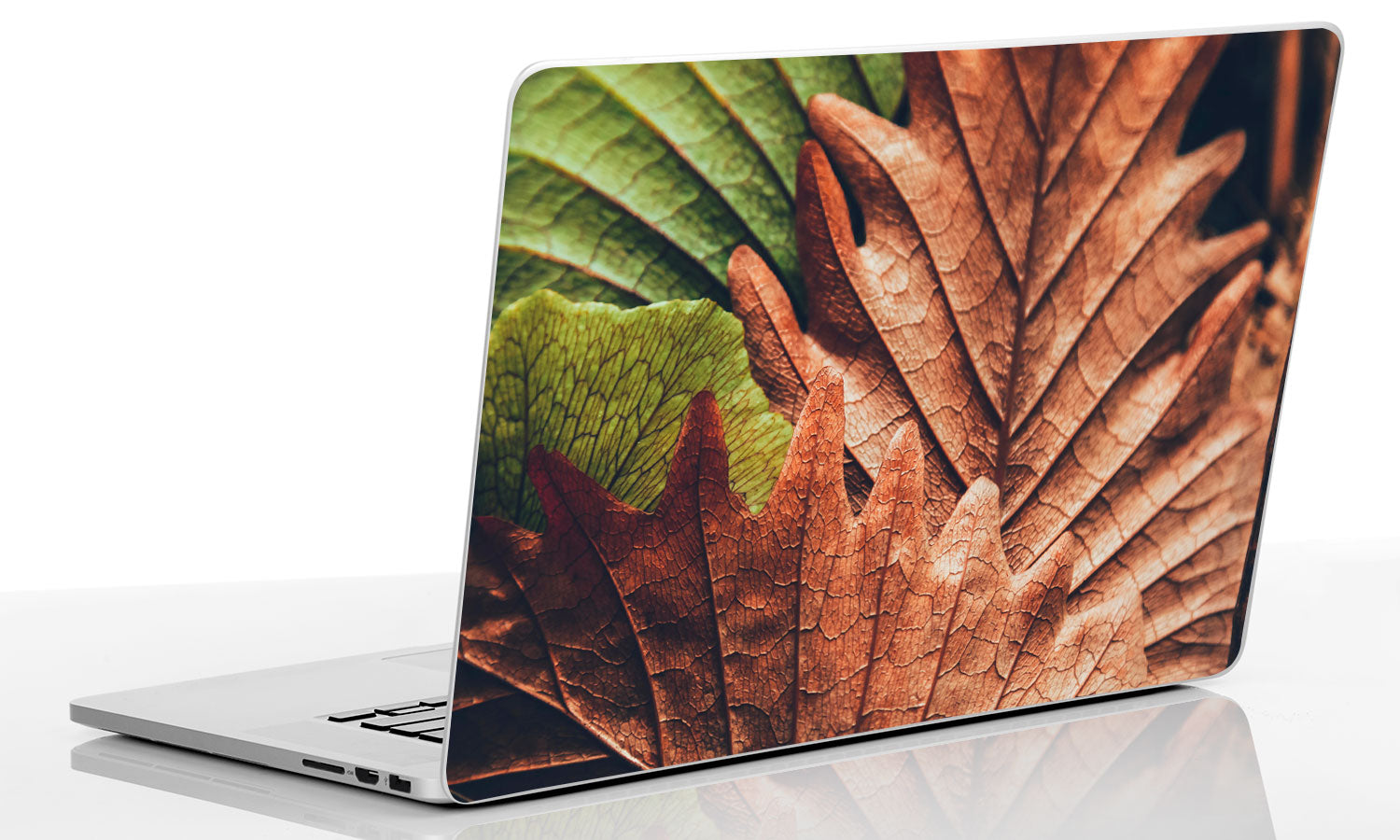 Laptop skin nalepka, nalepka za tablico - SK061-Life-decor.si