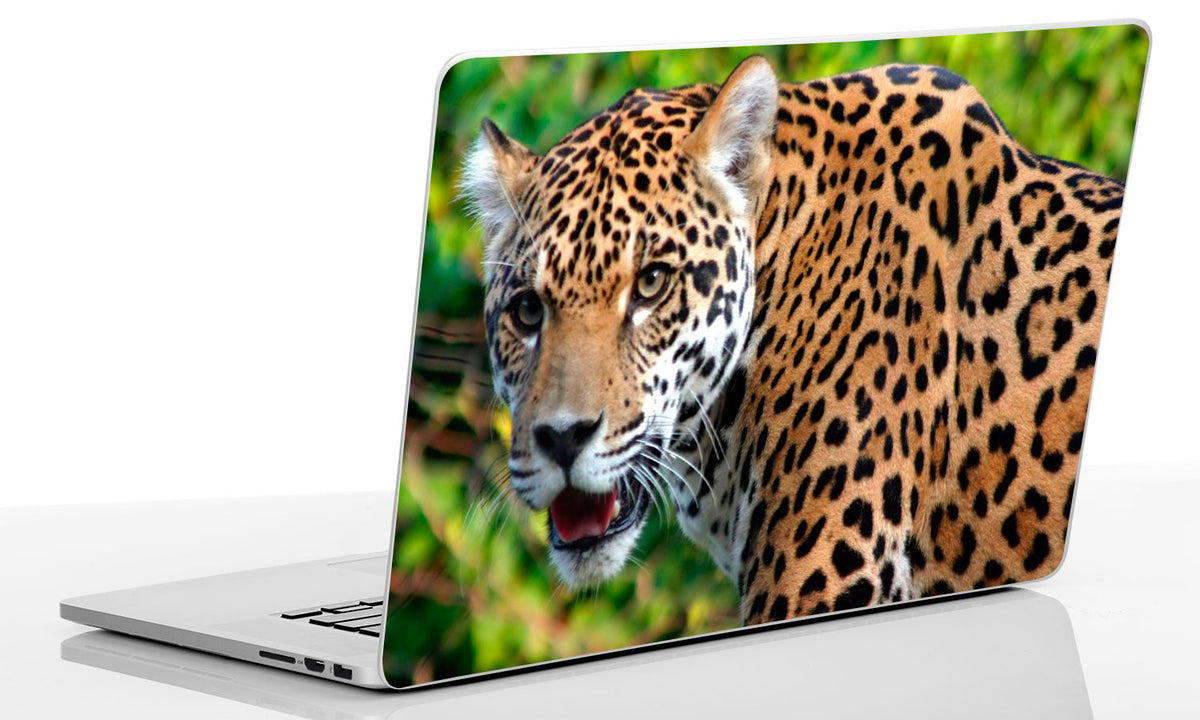 Laptop SKIN naljepnica, naljepnica za tablet, SK006-Life-decor.si