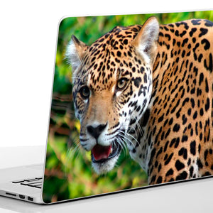 Laptop SKIN naljepnica, naljepnica za tablet, SK006-Life-decor.si