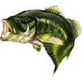 Largemouth Bass 2 nalepke, samolepilne - AUR076-Life-decor.si