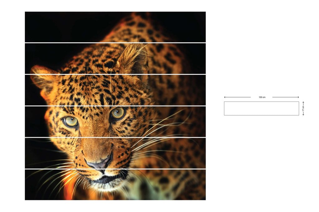 Leopard - Nalepke za stopnice NS018-Life-decor.si