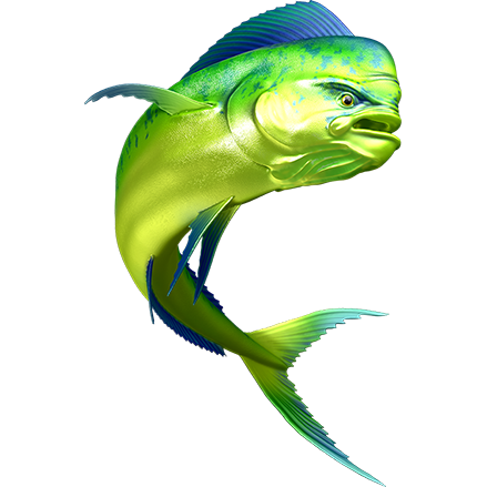Mahi Mahi 2 nalepke, samolepilne - AUR081-Life-decor.si
