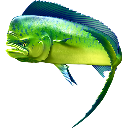 Mahi Mahi 2 nalepke, samolepilne - AUR081-Life-decor.si
