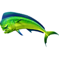 Mahi Mahi 2 nalepke, samolepilne - AUR081-Life-decor.si