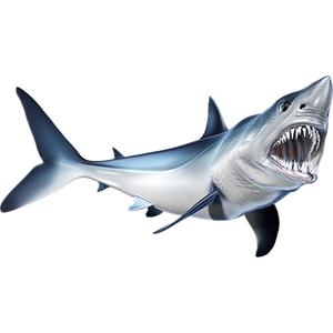 Mako Shark nalepke, samolepilne - AUR082-Life-decor.si