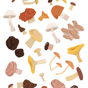 Mushrooms - Dekoracije za prozore WL039