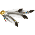 Nalepka Feathers. AUR029-Life-decor.si