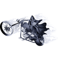 Nalepka Ghost Rider Sivi. AUR199-Life-decor.si