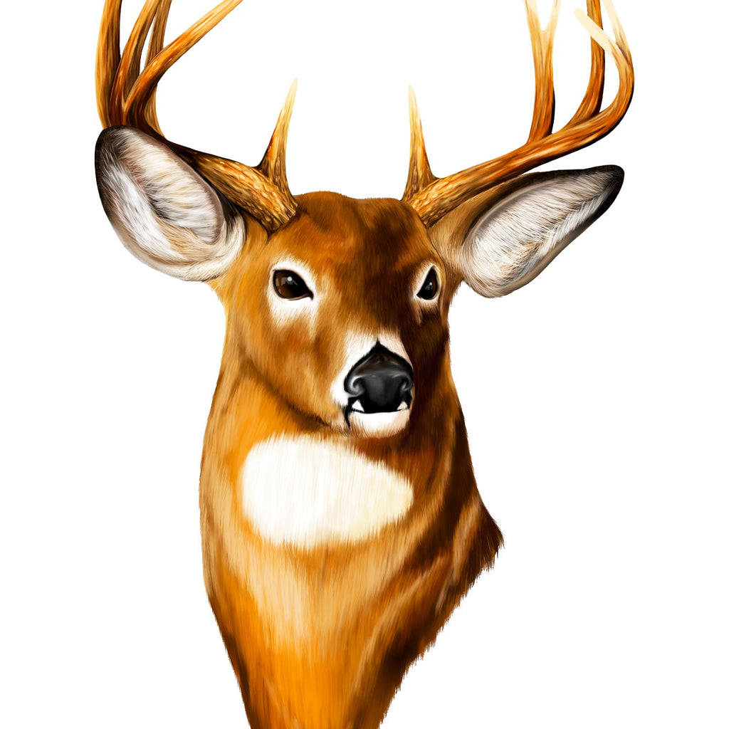 Nalepka Jelen - Buck 2. AUR167-Life-decor.si