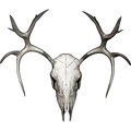 Nalepka Jelen - Buck Skull - Buck 2. AUR168-Life-decor.si