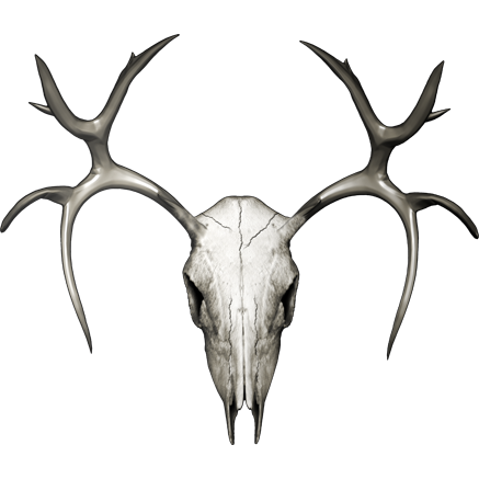 Nalepka Jelen - Buck Skull - Buck 2. AUR168-Life-decor.si