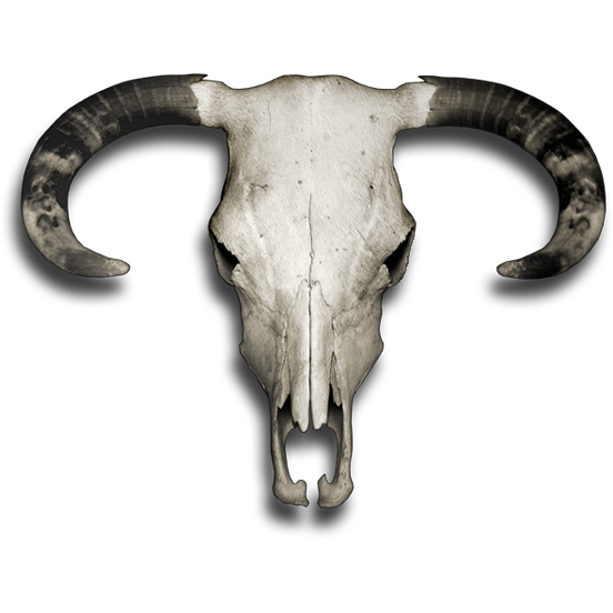 Nalepka Jelen - Buck Skull. AUR171-Life-decor.si