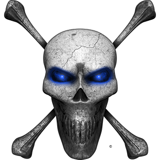 Nalepka za avto, motor, skuter Skull Crossbones. Prozorna folija, vodoodporna. AUR241-Life-decor.si