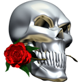 Nalepka za avto, motor, skuter Skull With Crossbones. Prozorna folija, vodoodporna. AUR242-Life-decor.si
