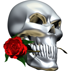 Nalepka za avto, motor, skuter Skull With Crossbones. Prozorna folija, vodoodporna. AUR242-Life-decor.si