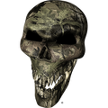 Nalepke Camo Skull. AUR023-Life-decor.si