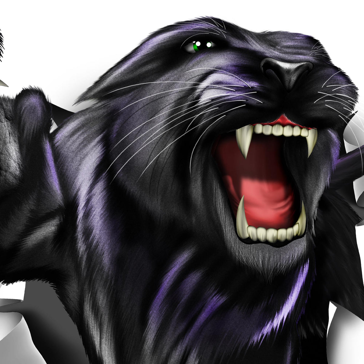 Nalepke Panther rip za avto ali motor. AUR007-Life-decor.si