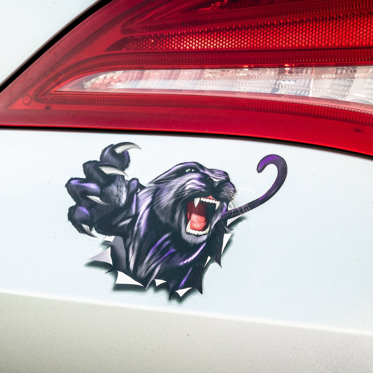 Nalepke Panther rip za avto ali motor. AUR007-Life-decor.si