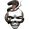 Nalepke Snake Strike. AUR022-Life-decor.si