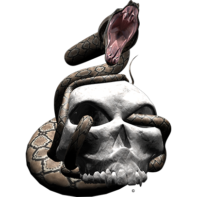 Nalepke Snake Strike. AUR022-Life-decor.si