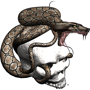 Nalepke Snake Strike. AUR022-Life-decor.si