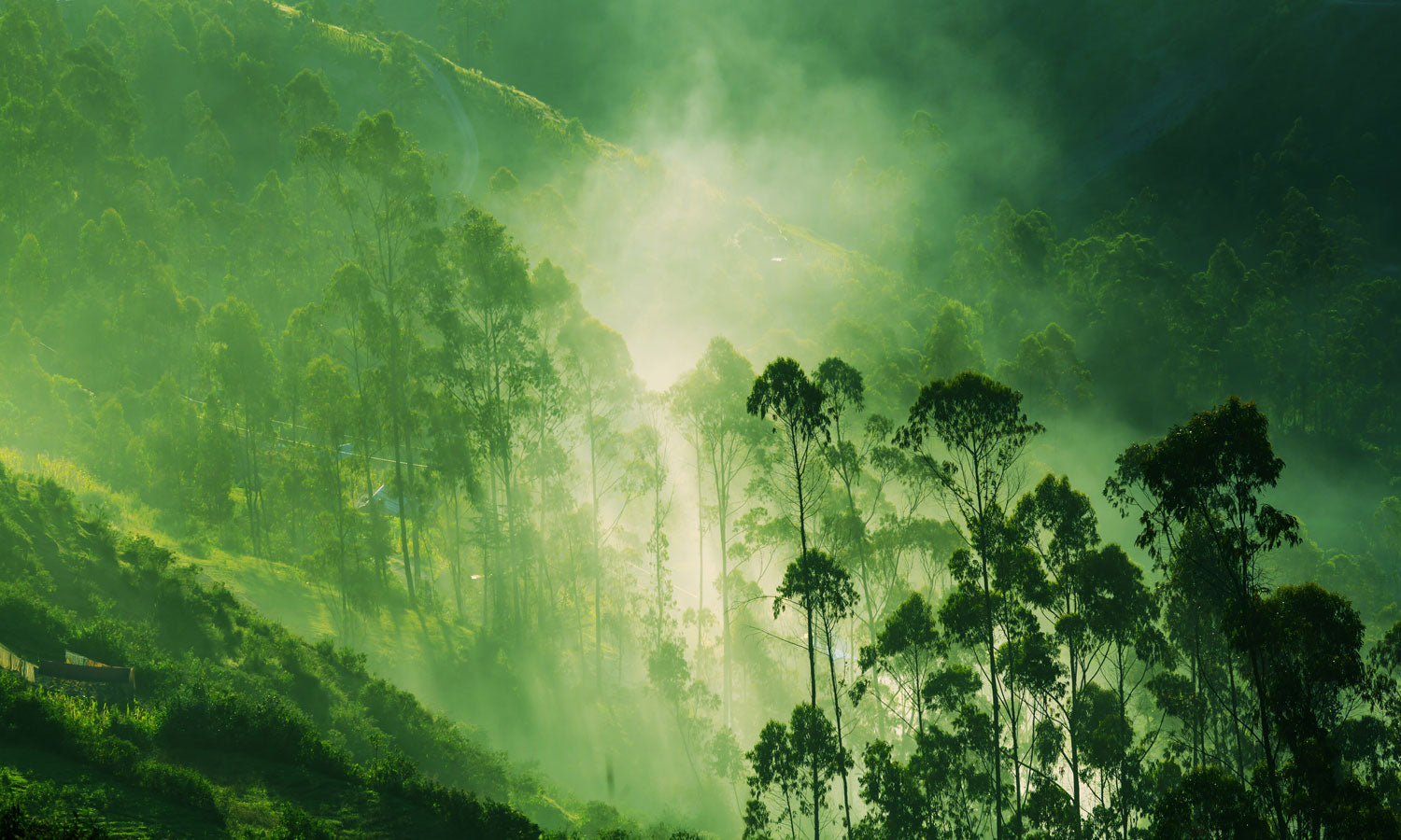 Plošče za kuhinje Fog in mountains - PVC plošče / Pleksi steklo - s tiskom za kuhinjo, Zidne obloge PKU395-Life-decor.si