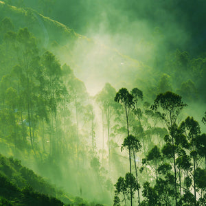 Plošče za kuhinje Fog in mountains - PVC plošče / Pleksi steklo - s tiskom za kuhinjo, Zidne obloge PKU395-Life-decor.si