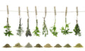 Plošče za kuhinje Fresh herbs - PVC plošče / Pleksi steklo - s tiskom za kuhinjo, Zidne obloge PKU185-Life-decor.si