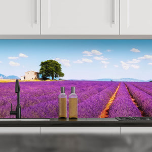 Plošče za kuhinje Lavender flowers - PVC plošče / Pleksi steklo - s tiskom za kuhinjo, Zidne obloge PKU216-Life-decor.si